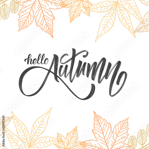Handwritten brush lettering of Hello Autumn on hand drawn leaves background. Outline sketch design