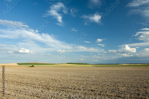 Plowed field, fields on the horizon and white clouds in the blue sky