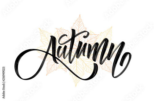 Vector illustration: Handwritten brush lettering composition of Autumn on hand drawn fall leaves background