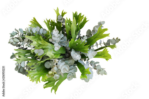 Bunch of climbing bird's nest fern and Silver Drop eucalyptus leaves, tropical foliages flower bouquet floral arrangement isolated on white background, clipping path included.