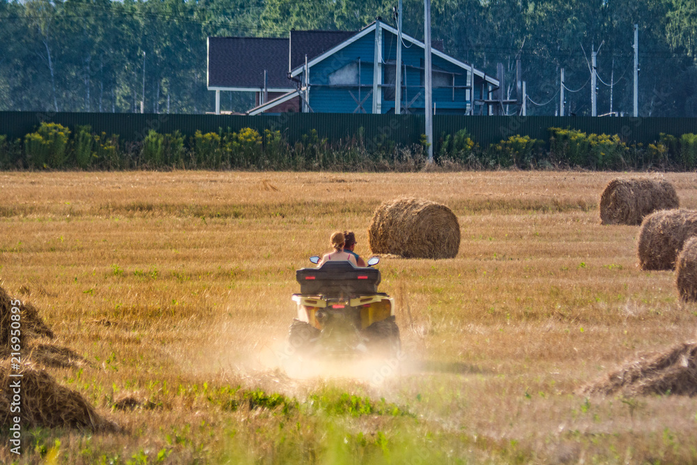 Obraz premium the couple is riding a quad bike in the field. sunny summer day at sunset
