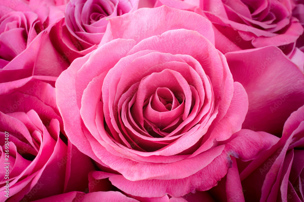 Bouquet of pink rock Bouquet of pink rock