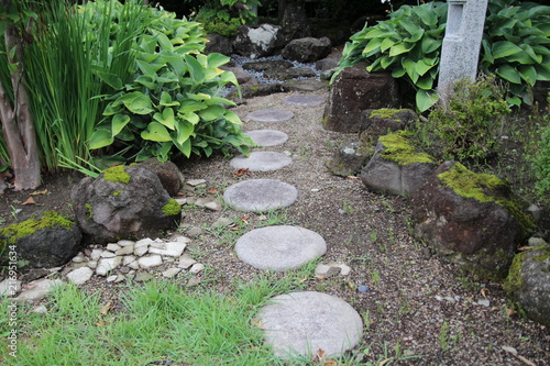 自然, 庭, あばたのある, パス, 森, 緑, 木, 植える, 草, 風景, サマータイム, 道, 岩, 水, 公園, コケ, トレイル, 葉, ステップ, とぶ, 木, ナチュラル, 木の葉, 岩