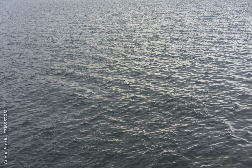 lake water with green colour and waves lake water with green colour and waves