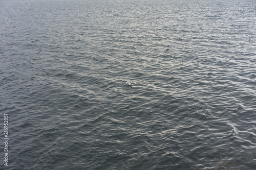 lake water with green colour and waves