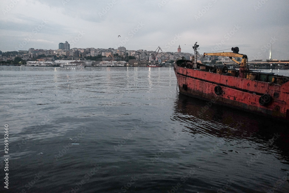 Fototapeta premium View of Istanbul from the Bosporus 