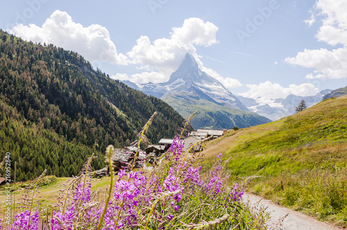 Zermatt, Findeln, Weiler, Sunnegga, Wanderweg, Findelbach, Findelschlucht, Matterhorn, Alpen, Wallis, Schweizer Berge, Bergwiesen, Alpenblumen, Sommer, Schweiz photo
