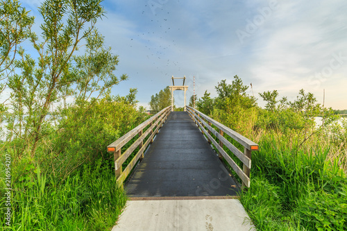 Drawbridge in paved cycle path from Meije to Nieuwkoop right through the Nieuwkoopse plassen about a centuries-old road caused by dredging peat for fuel with a sky full of insects photo