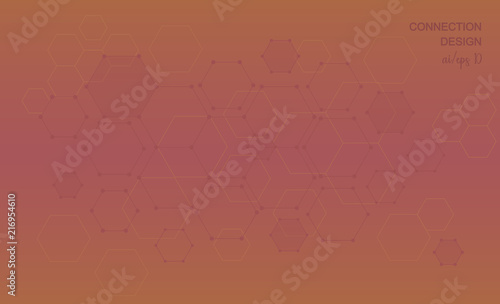 Connessioni web