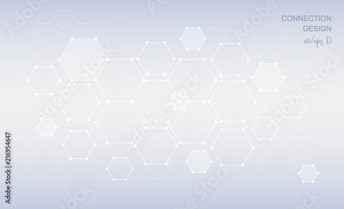 Connessioni web