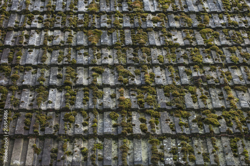 roof tile covered with green moss