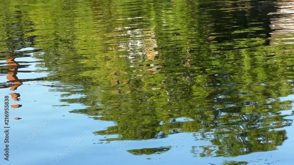 reflections on water reflections on water
