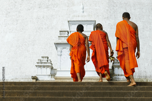 Obraz na plátně monks coming in ruwanwelisaya stupa in anuradhapura historical parc ,Sri Lanka