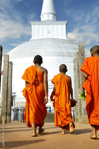 Картината върху платно monks coming in ruwanwelisaya stupa in anuradhapura historical parc ,Sri Lanka