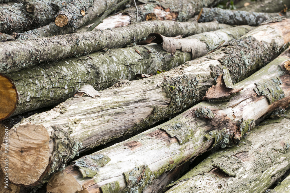 large pieces of wood, firewood for the winter large pieces of wood, firewood for the winter