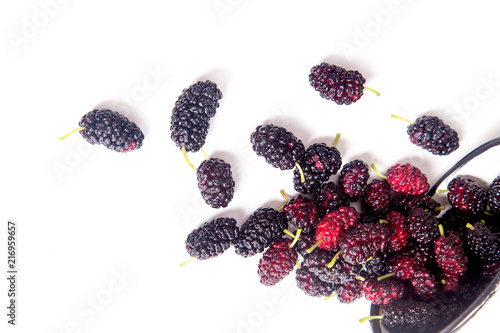 Foto White cup with black mulberry fruit isolated on white