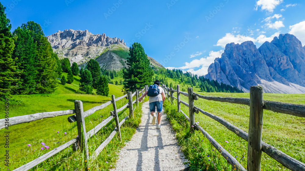 Fototapeta premium Running in the green