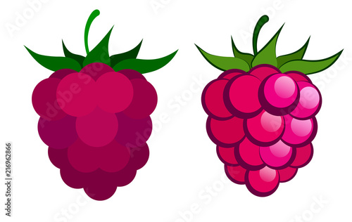 Vector illustration with raspberries on white background. One picture in two versions