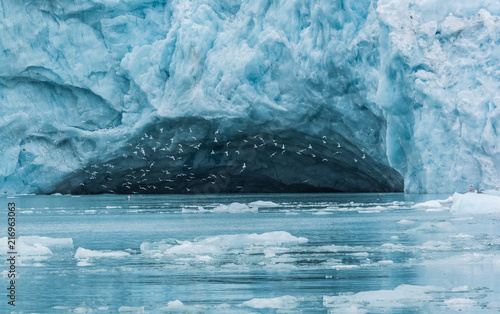 Norway - Svalbard Spitzberg glacier ice cave with birds