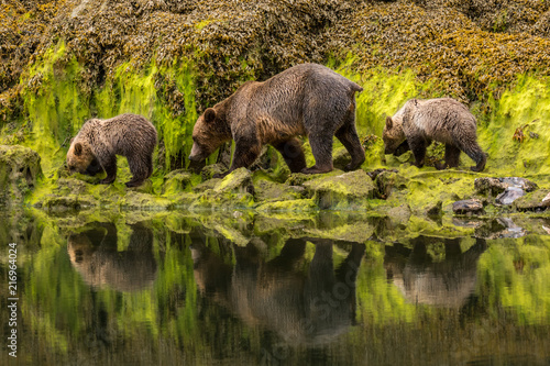 Je met mes pas dans ceux de maman