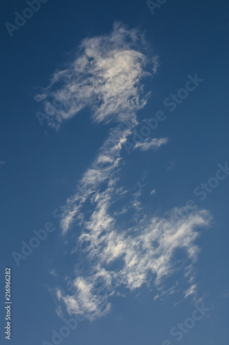 cloud in the sky forming a question mark or a water horse