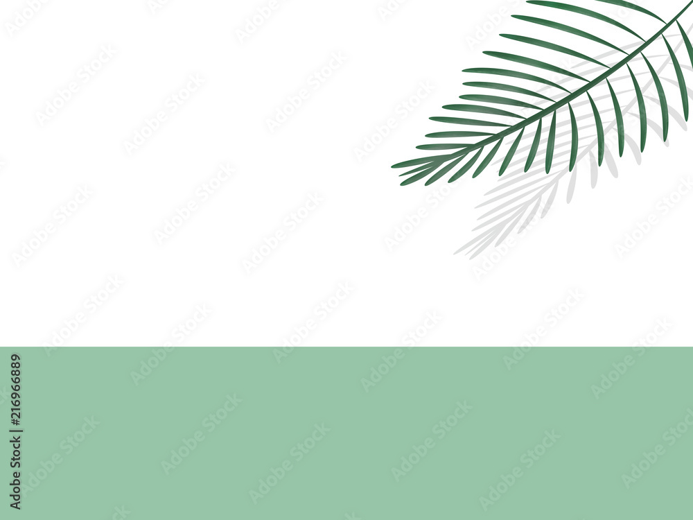 Fototapeta text area in mint green with exotic palm leaf in 3D with shadow