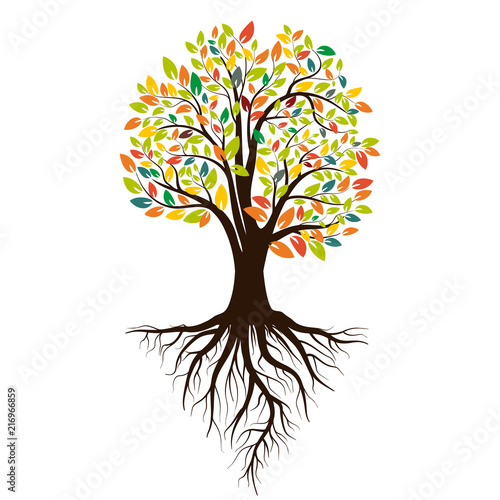 Autumn silhouette of a tree with colored leaves. Tree with roots. Isolated on white background. Vector