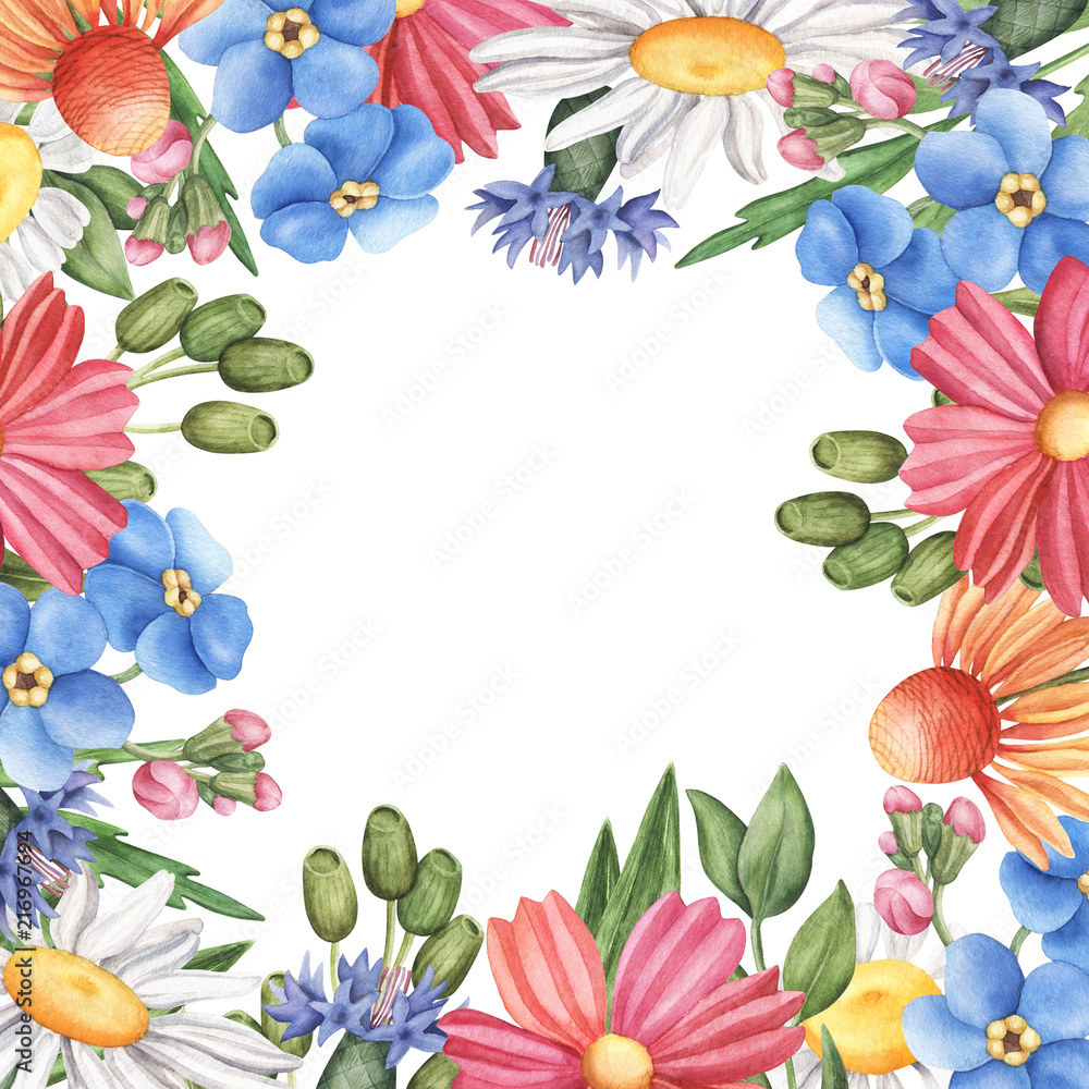 Border, frame made of wild summer flowers - camomile, cornflower, forget-me-not, cosmos and lily, watercolour raster illustration. Watercolor floral frame with wild flowers, square banner template