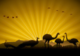Wild animals silhouette, birds