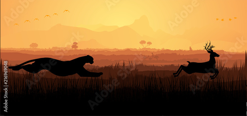 Cheetah chasing deers