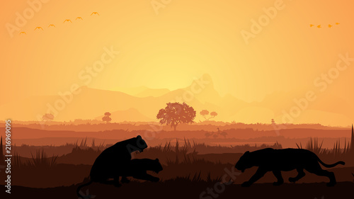 Wild animals silhouette