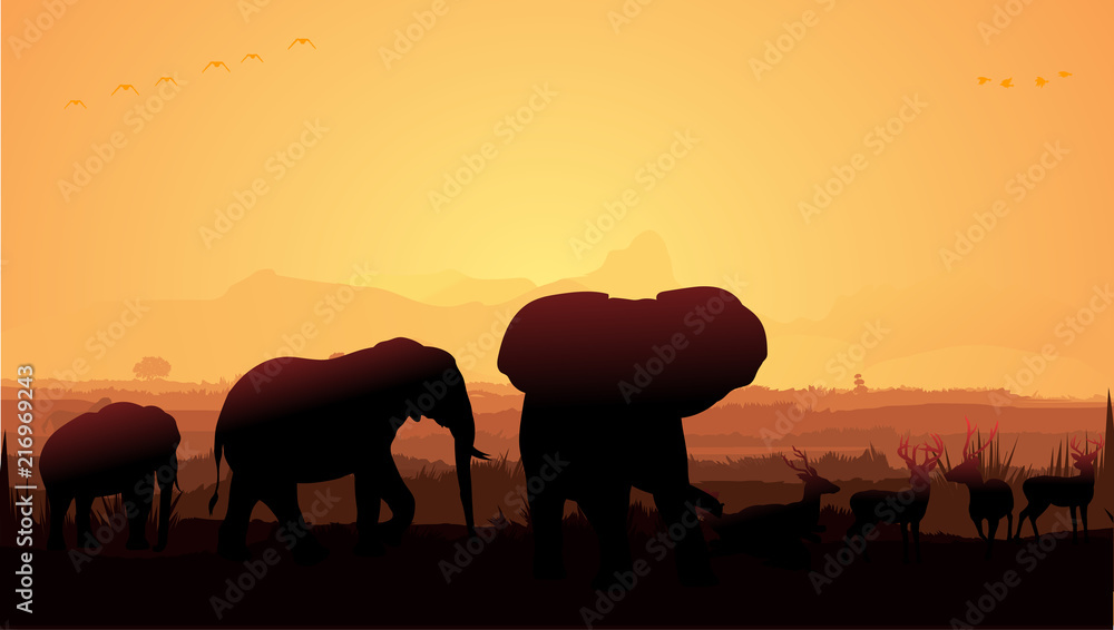 Wild animals silhouette