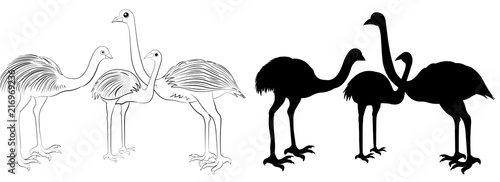 Wild animals silhouette, ostrich