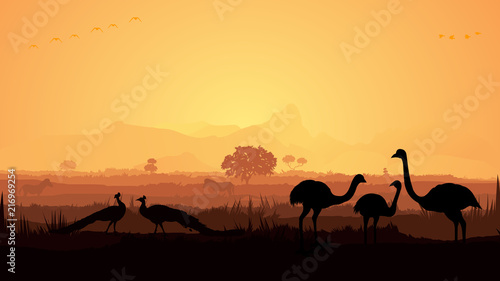 Wild animals silhouette