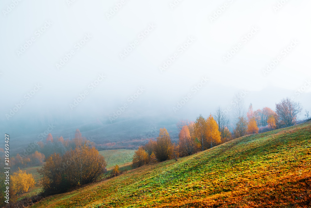Amazing scene on autumn mountains. Yellow and orange trees in fantastic morning sunlight. Carpathians, Europe. Landscape photography