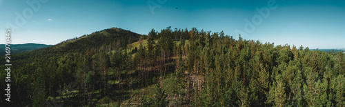 Aerial drone panoramic view of mountain peak with thin high tree trunks, mixed forest of birches and pine trees, mountains on the background, mountain Sugoyak, South Ural, Russia