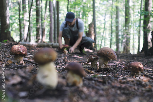 Man collect mushrooms in summer forest © Ivan Kmit