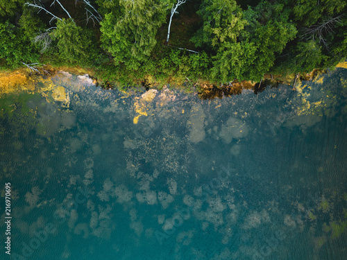 Aerial drone photo of green tree crones growing in lake shore, top down view, Russia