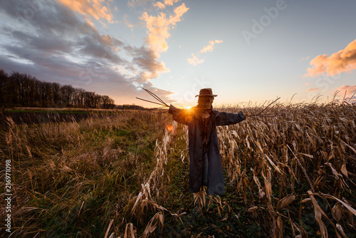 Tableau sur toile Scary scarecrow in a hat on a cornfield in orange sunset background