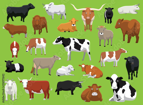 Various Cow Bull Cattle Poses Vector Illustration