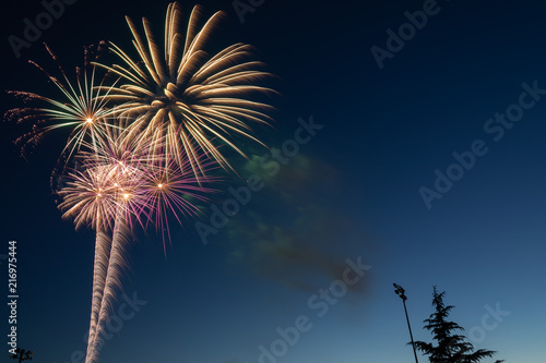 Fototapeta Naklejka Na Ścianę i Meble -  Fireworks 15