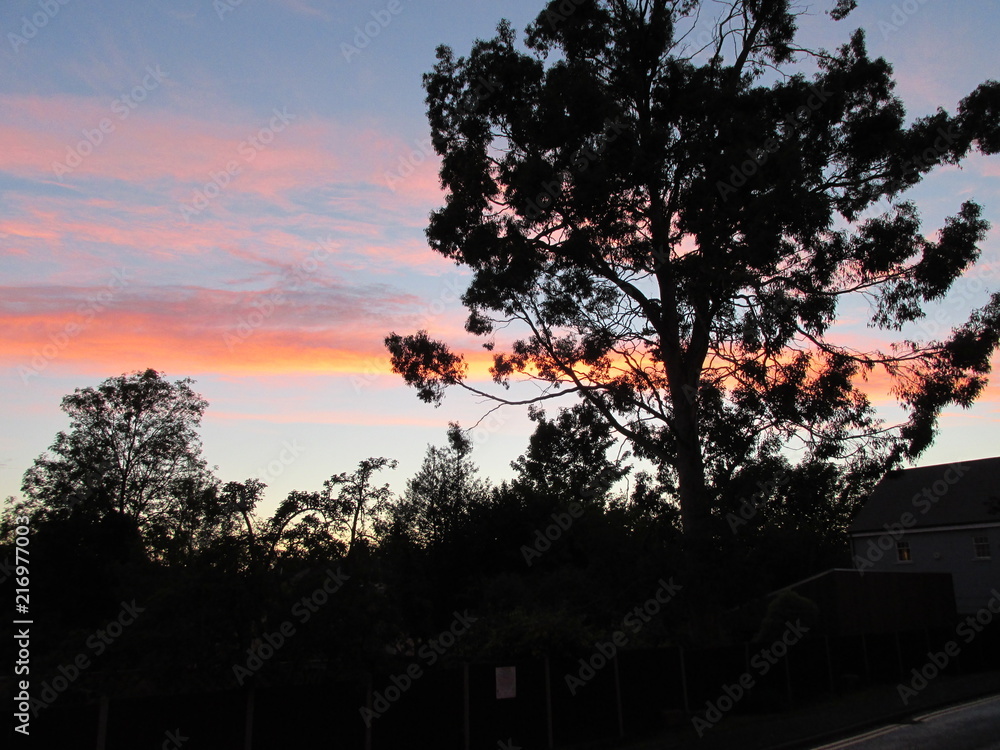 Fototapeta premium Twilight 1