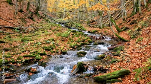 View of Little River in autumn, Great Smoky Mountains National Park, Tennessee