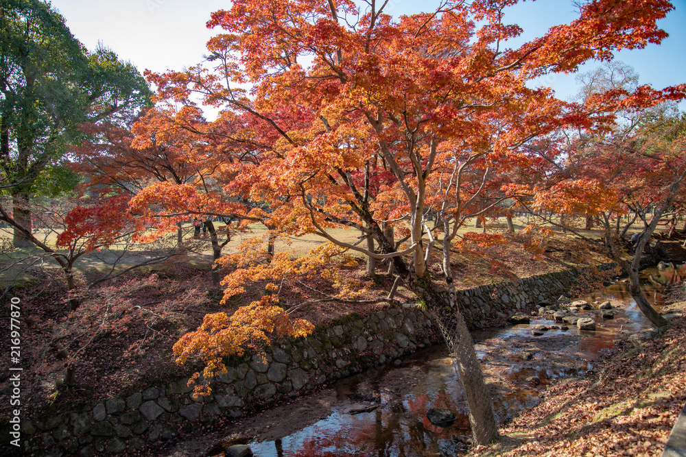 奈良公園の紅葉 奈良公園の紅葉