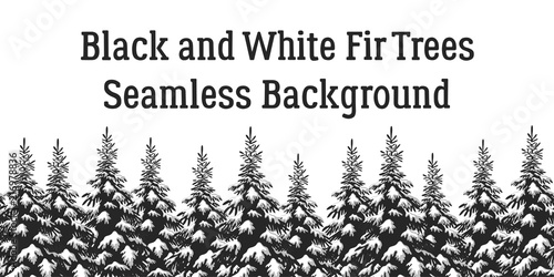 Christmas Holiday Seamless Horizontal Background, Winter Landscape, Fir Trees with Snow, Black and Grey Silhouettes Isolated on White Background. Vector