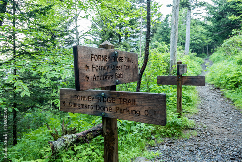 Forney Ridge Trail Signs photo