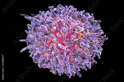 Hairy cell leukemia, 3D illustration. It is a hematological malignancy, chronic lymphocytic leukemia, with accumulation of abnormal B lymphocytes photo