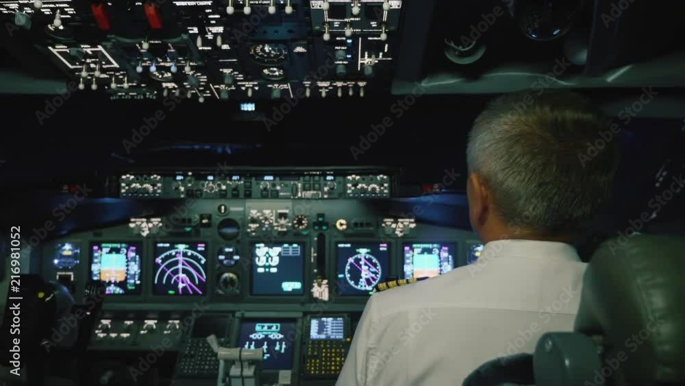 Captain is controls the airplane, rear view. Captain is controls the airplane, rear view.