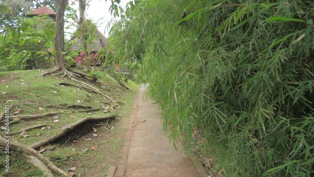 Walking Through Amazing Balinese Bamboo Full Hd Visual resource Walking Through Amazing Balinese Bamboo Full Hd Visual resource