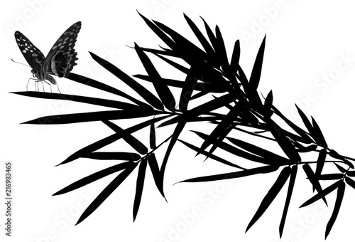 papillon sur bambou noir, fond blanc